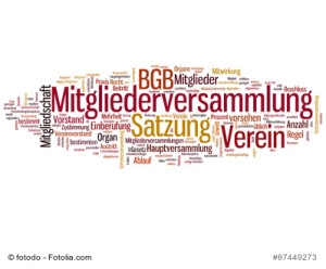 Organe eines Vereins