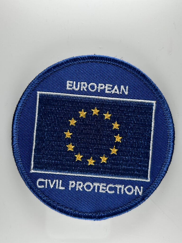66463
